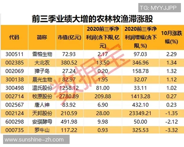 南京网球队在洲际杯积分榜上以79分稳居第一名引发关注