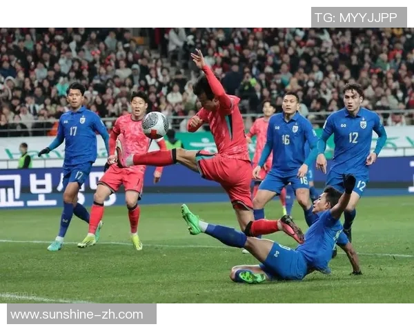 北京网球队强势领跑杯赛积分榜目前积分达到80分引发关注