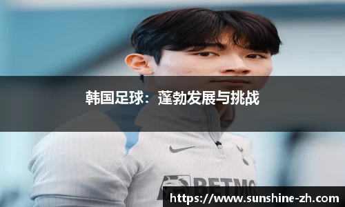 韩国足球：蓬勃发展与挑战