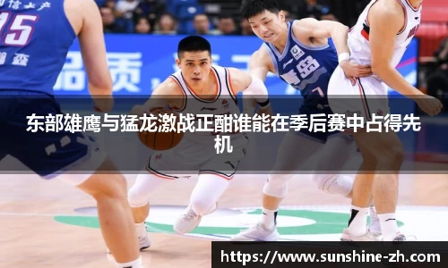 AC米兰体育官网入口