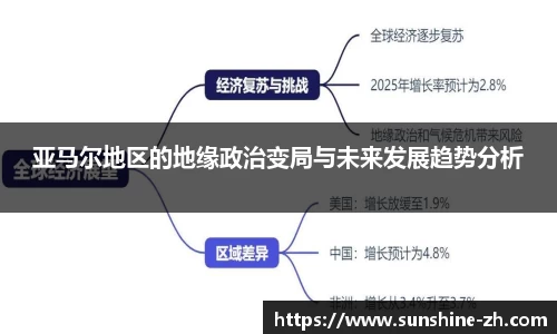 亚马尔地区的地缘政治变局与未来发展趋势分析