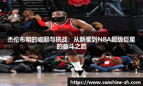 米兰·体育官方网站