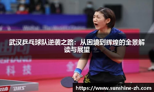 武汉乒乓球队逆袭之路：从困境到辉煌的全景解读与展望